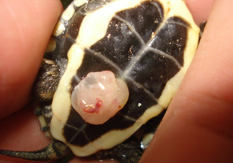 ��ʯ�᲻���Ⱦ�շ������ǵ�С�ڹ���ѻƴ�